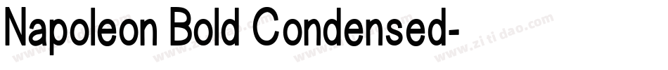 Napoleon Bold Condensed字体转换